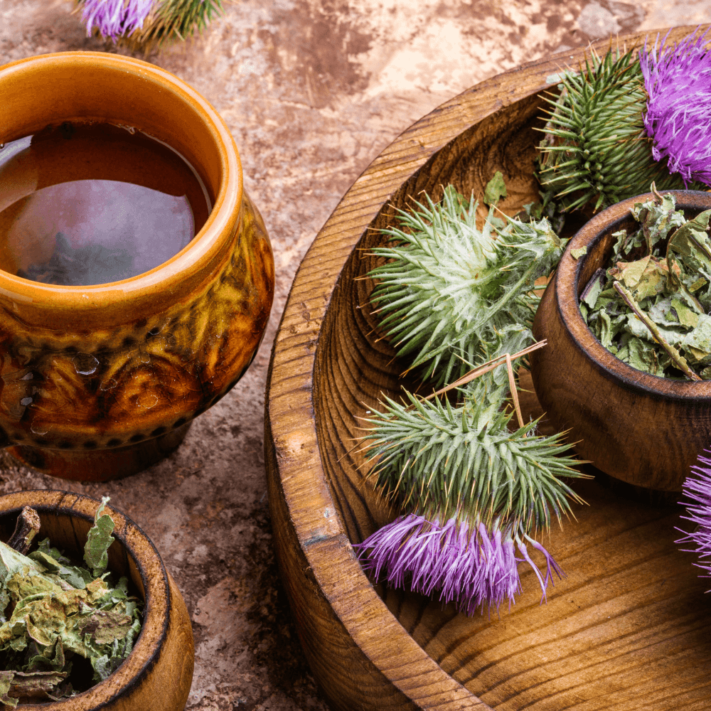 milk thistle increase glutathione What Are the Benefits of Milk Thistle for Liver Health? — Napiers