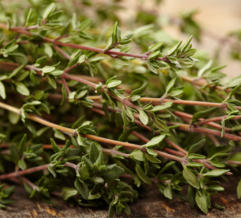 It's thyme to get your skin under control!