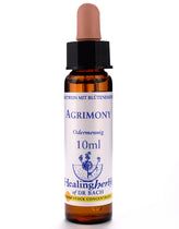 Healing Herbs Agrimony Flower Remedy