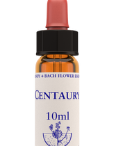 Healing Herbs Centaury Flower Remedy