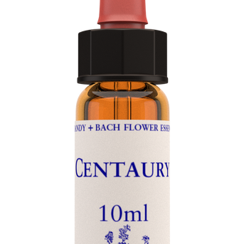 Healing Herbs Centaury Flower Remedy