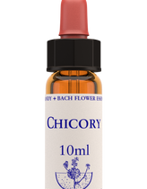 Healing Herbs Chicory Flower Remedy