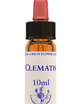 Healing Herbs Clematis Flower Remedy