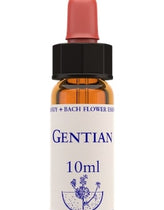 Healing Herbs Gentian Flower Remedy