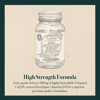 Napiers Japanese Energy - A High Strength And Bioavailable Source of CoQ10