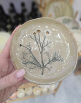 Napiers X Forest Tozer Plate