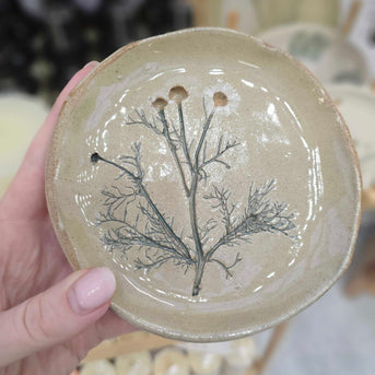 Napiers X Forest Tozer Plate