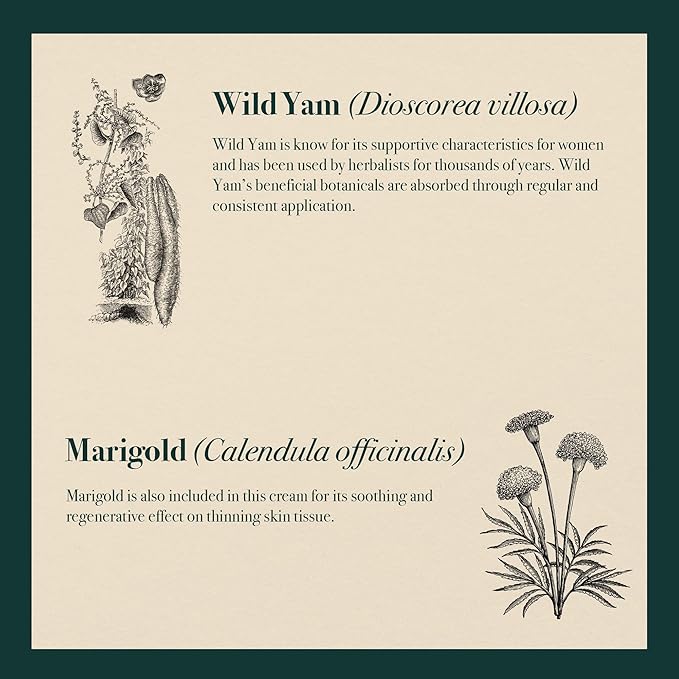 Wild Yam botanical illustration with marigold calendula plant showing key cream ingredients