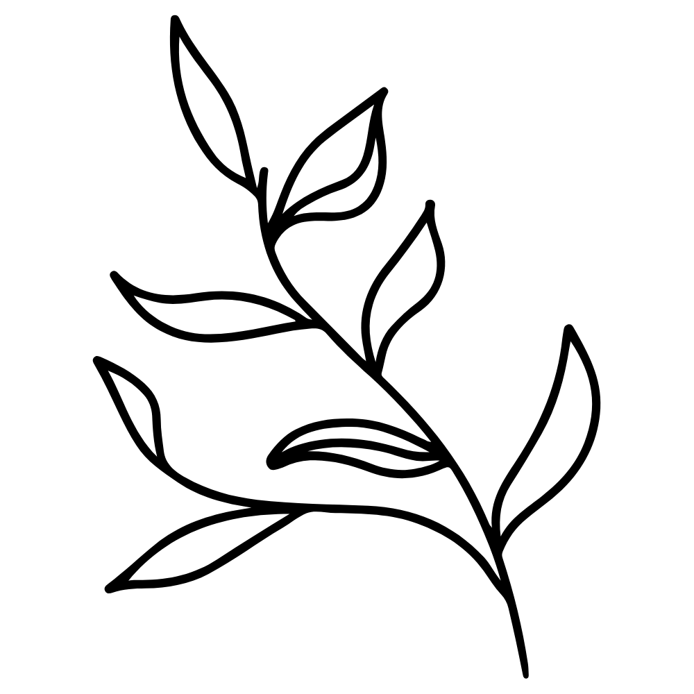 Camphoraceous