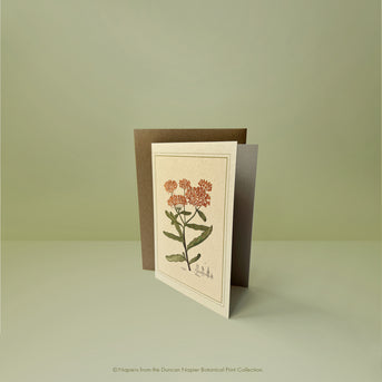 Napiers Botanical Prints