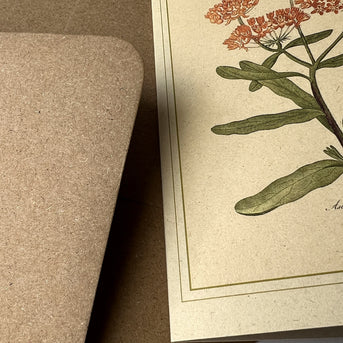 Napiers Botanical Prints