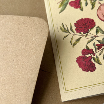Napiers Botanical Prints