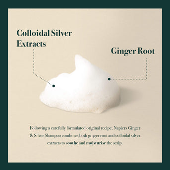 Napiers Ginger and Silver Anti Dandruff Shampoo