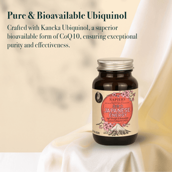 Napiers Japanese Energy - A High Strength And Bioavailable Source of CoQ10