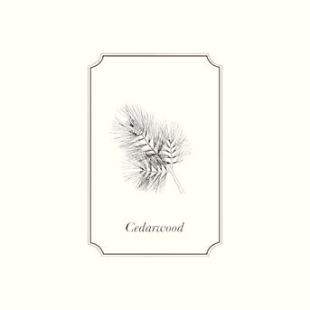 Napiers Cedarwood (Atlas) Essential Oil