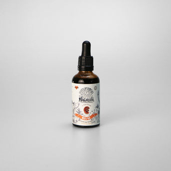 Bristol Fungarium Organic Reishi Tincture 50ml