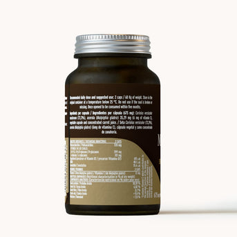 Hifas da Terra Mico-Corio