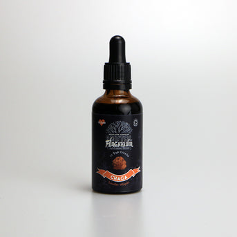 Bristol Fungarium Organic Chaga Tincture 50ml