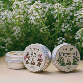 Napiers Rosy Rose Lip Balm