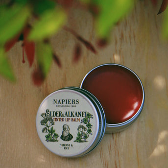 Napiers Elder & Alkanet Lip Tint