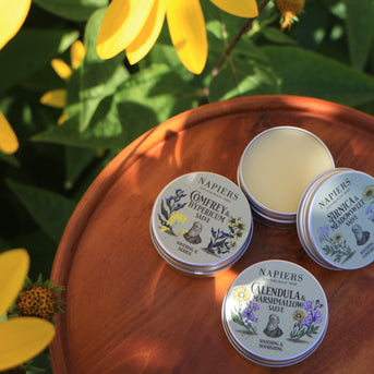 Napiers Arnica & Meadowsweet Salve
