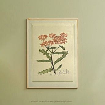 Napiers Botanical Prints
