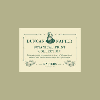 Napiers Botanical Prints