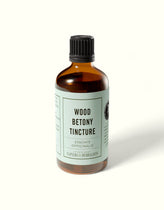 Wood Betony Tincture (Stachys officinalis)