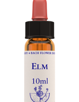 Healing Herbs Elm Flower Remedy