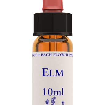 Healing Herbs Elm Flower Remedy