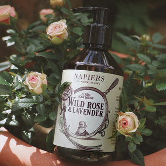 Napiers Wild Rose & Lavender Body Lotion