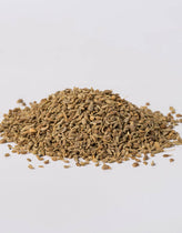 Aniseed (Pimpinella anisum) - Napiers