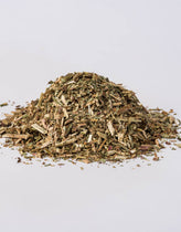 Willow Herb (Epilobium parviflorum) - Napiers