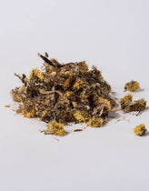 Coltsfoot Flowers (Tussilago farfara) - Napiers