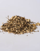 Gravel Root (Eupatorium purpureum) - Napiers