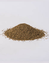 Celery Seed (Apium graveolens) - Napiers