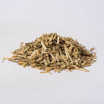 Wild Oat Tops (Avena sativa) - Napiers