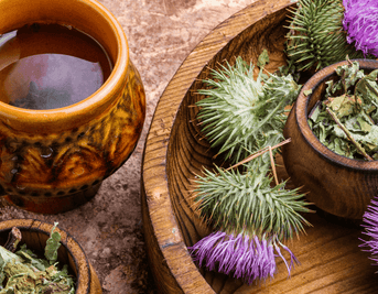 What Are the Benefits of Milk Thistle for Liver Health?