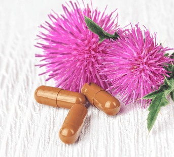 How much milk thistle should I take daily? — Napiers