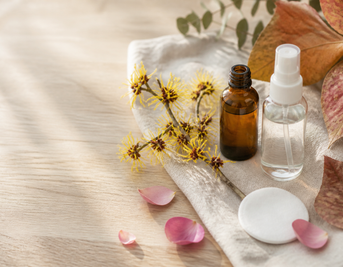 Is Witch Hazel Good for Your Skin? The Remedy That Crossed the Atlantic