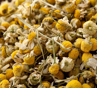 Balancing School Stress: Natural Approaches to Children's Mental Wellbeing