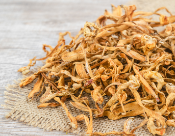 Can Cordyceps Tincture Provide Menopause Relief?