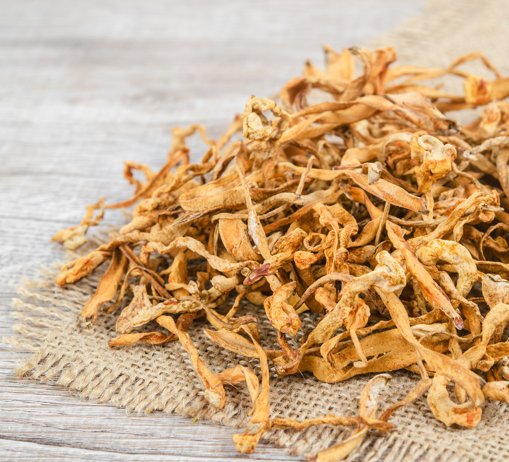 Can Cordyceps Tincture Provide Menopause Relief?