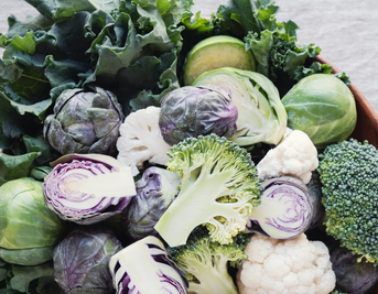 Diet Advice for IBS Sufferers