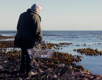 Tasting the Wild – The Wildbiome Project Film