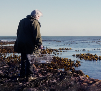 Tasting the Wild – The Wildbiome Project Film