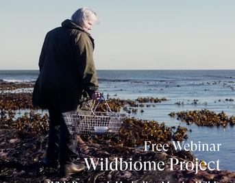Free Webinar |The Wildbiome Project & Foraging for Health With Monica Wilde