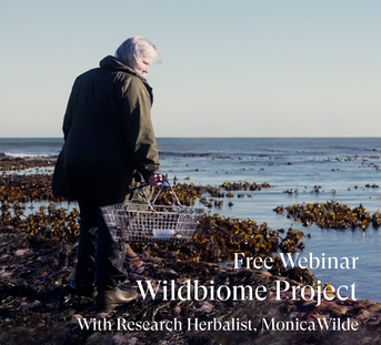 Free Webinar |The Wildbiome Project & Foraging for Health With Monica Wilde