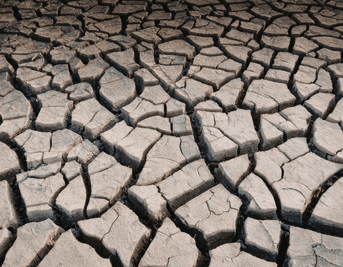 Dry, Cracked Skin That Won't Improve? Your Skin Barrier May Be Compromised