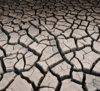 Dry, Cracked Skin That Won't Improve? Your Skin Barrier May Be Compromised